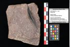 Foto (Objekt + Etikett) von Plantae indet. (NHMW-GEO-2024-0188-0757a)